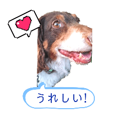 [LINEスタンプ] Newチョコスタンプ