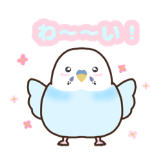 [LINEスタンプ] セキセイインコのみーちゃんですっ