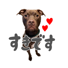 [LINEスタンプ] ロジャースタンプ②