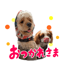 [LINEスタンプ] ライビルスタンプ