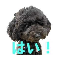 [LINEスタンプ] 伊予弁 わんちゃん 他