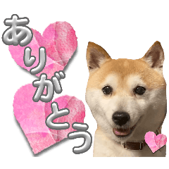 [LINEスタンプ] にこのスタンプの巻