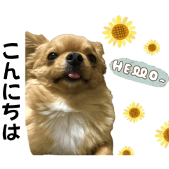 [LINEスタンプ] れおすけスタンプver.2