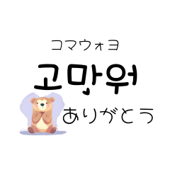 [LINEスタンプ] くまちゃんの毎日韓国語 ハングル日常生活