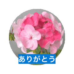 [LINEスタンプ] 風にそよぐ花に、挨拶言葉に添えて届けよう