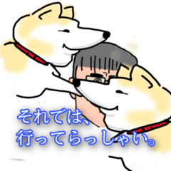 [LINEスタンプ] おじさんと秋田犬①の画像（メイン）
