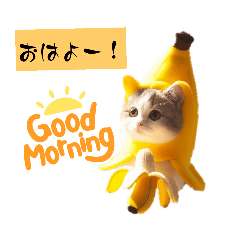[LINEスタンプ] Japan0008猫ミームの画像（メイン）