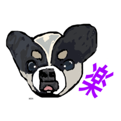 [LINEスタンプ] ペロちゃんズ