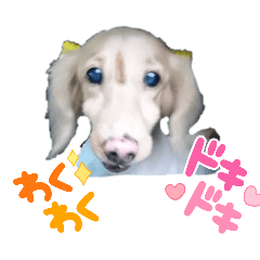 [LINEスタンプ] FUJIWARA Animals2