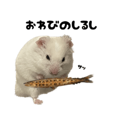 [LINEスタンプ] おハムのだいふくくん。