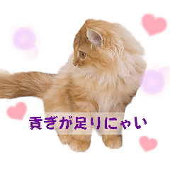 [LINEスタンプ] ラガマフィン☆きなこの画像（メイン）