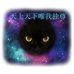 [LINEスタンプ] 黒猫 ルナ院長142にゃんめ