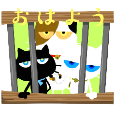 [LINEスタンプ] 猫ねこ挨拶