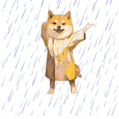 [LINEスタンプ] 動く！踊る柴犬ミーム(雨編)の画像（メイン）