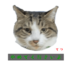 [LINEスタンプ] てつたろじろれ