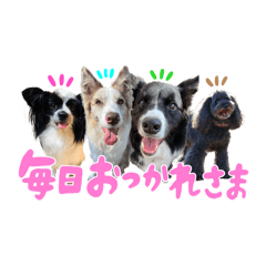[LINEスタンプ] スカ☆アクスタンプ