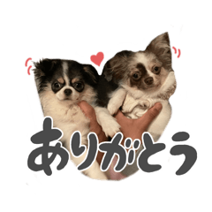 [LINEスタンプ] ラテとスピカ