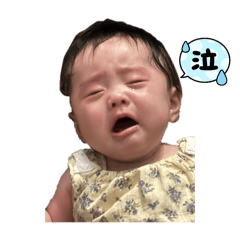 [LINEスタンプ] ひな蔵の暮らしぶり