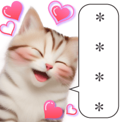 [LINEスタンプ] 可愛すぎる猫ミームの画像（メイン）