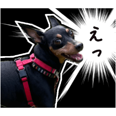 [LINEスタンプ] みはるとモモ