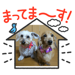 [LINEスタンプ] ミニチュアダックスとワイヤーダックスno.3