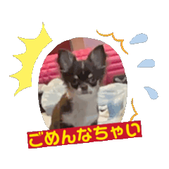 [LINEスタンプ] うちのCoCo その1