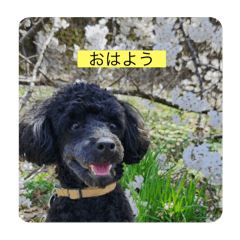 [LINEスタンプ] ネジスタンプ（犬）