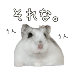 [LINEスタンプ] ジャンガリアンハムスター『むっちむちお』