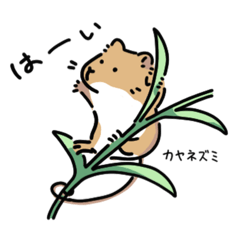 [LINEスタンプ] あつまれネズミのなかま