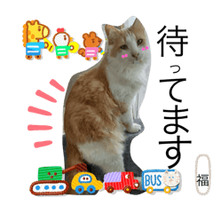 [LINEスタンプ] 福しかないニャン