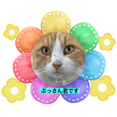 [LINEスタンプ] ぶっさん君