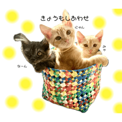 [LINEスタンプ] てん・じん・なな