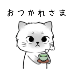 [LINEスタンプ] 無表情だけどかわいいねこ スタンプ