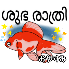 [LINEスタンプ] 可愛い金魚たち(マラヤーラム語と日本語)