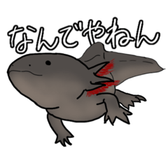 [LINEスタンプ] 我が家のウーパールーパーvol.2