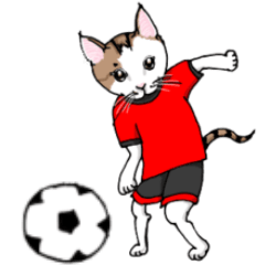 [LINEスタンプ] 男子ねこサッカー部