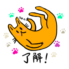 [LINEスタンプ] ねこはち！ゆるっとふわっとどうぶつ！