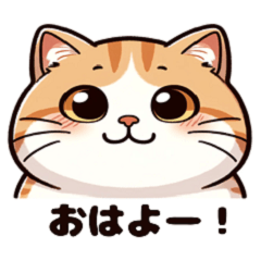 [LINEスタンプ] 明るく元気な猫のスタンプ