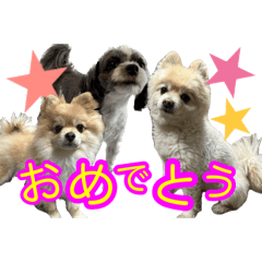 [LINEスタンプ] ぽてこわんこ