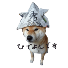 [LINEスタンプ] 柴犬の秀吉3