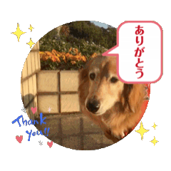 [LINEスタンプ] ラルクさん動画スタンプ01