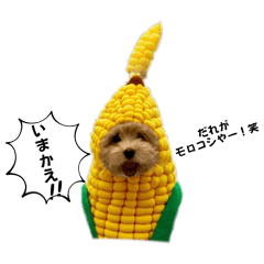 [LINEスタンプ] minchopilan 1