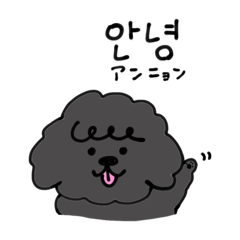 [LINEスタンプ] トイプードルと韓国語