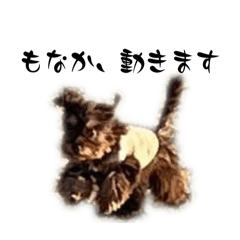 [LINEスタンプ] もなかしゅたんぷ