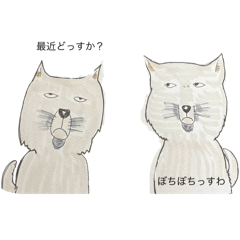 [LINEスタンプ] チベスナくんたち