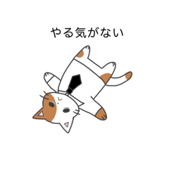 [LINEスタンプ] 働く社畜猫