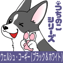 [LINEスタンプ] [うちのこ]コーギー(ブラック＆ホワイト)