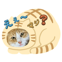 [LINEスタンプ] ぶっさん君3