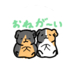 [LINEスタンプ] モルモットの可愛い絵