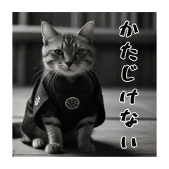 [LINEスタンプ] サムライCAT①